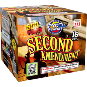Second Amendment
