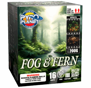 Fog & Fern