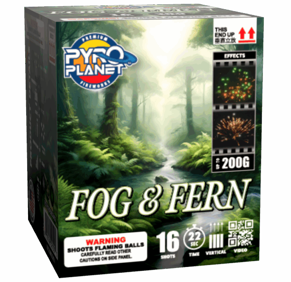 Fog & Fern