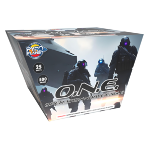 Operation Noble Eagle (ONE)