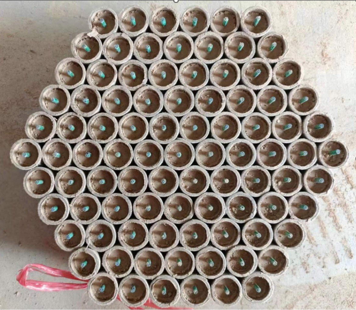 Estopim de 2,7 mm já aplicado: tubos vistos de cima, com o estopim saindo do centro de cada um.