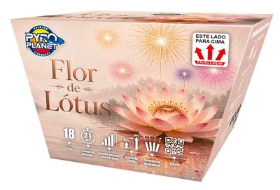 Flor de Lótus