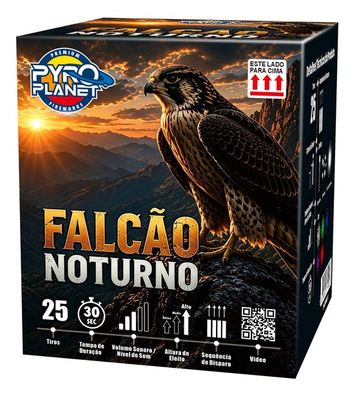 Falcao Noturno