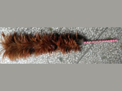 Feather duster
